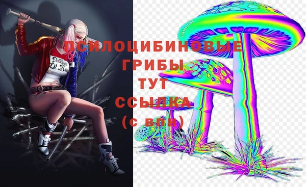 герыч Алексин