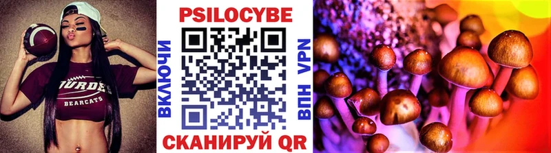 Псилоцибиновые грибы Cubensis  закладка  Алексин 